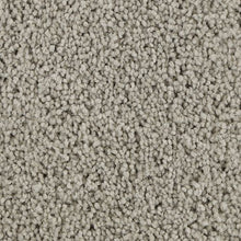 Load image into Gallery viewer, Authentic Scene|Classic Silver|BP93B-919 - Sample