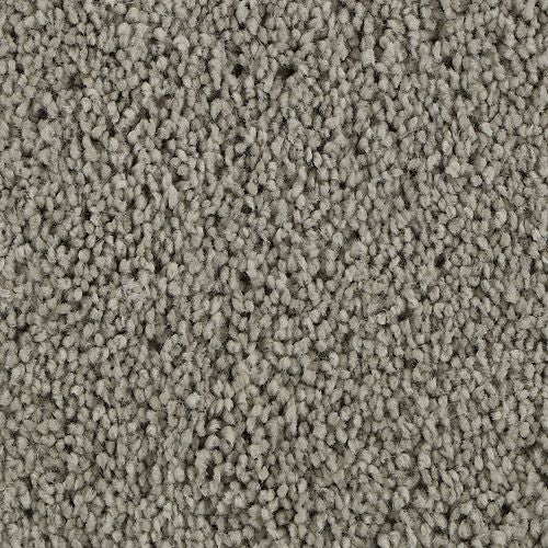 Authentic Scene|Hazy Stratus|BP93B-928 - Sample