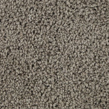 Load image into Gallery viewer, Subtle Comfort|Greige Tint|3C21-938 - Sample