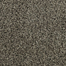 Load image into Gallery viewer, Delicate View|Urban Putty|3D58-967 - Sample