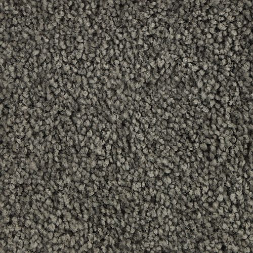 Authentic Scene|Dorian|BP93B-984 - Sample