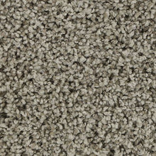 Load image into Gallery viewer, Authentic Look|Dovetail|BP92B-720 - Sample