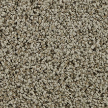 Load image into Gallery viewer, Authentic Look|Fine Vellum|BP92B-725 - Sample