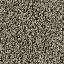 Load image into Gallery viewer, Authentic Look|Taupe Whisper|BP92B-746 - Sample