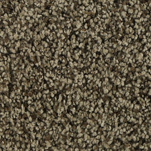 Load image into Gallery viewer, Authentic Look|November Foliage|BP92B-876 - Sample