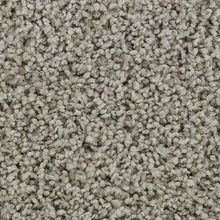 Load image into Gallery viewer, Authentic Look|Classic Silver|BP92B-919 - Sample