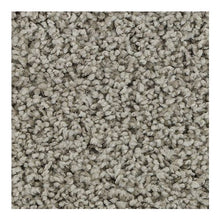Load image into Gallery viewer, Sincere Tones|Classic Silver|3D57-919 - Sample