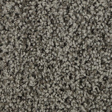 Load image into Gallery viewer, Authentic Look|Greige Tint|BP92B-938 - Sample