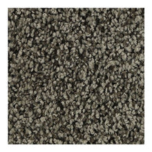 Load image into Gallery viewer, Sleek Appeal|Moon Rock|3C23-947 - Sample