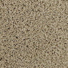 Load image into Gallery viewer, Authentic Comfort|Fine Vellum|3C30-725 - Sample