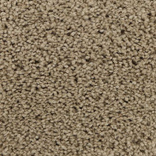 Load image into Gallery viewer, Authentic Comfort|Neutral|3C30-765 - Sample