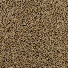 Load image into Gallery viewer, Authentic Comfort|Artisan Hue|3C30-771 - Sample