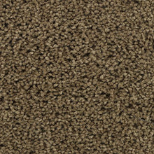 Load image into Gallery viewer, Authentic Comfort|Dockside|3C30-787 - Sample