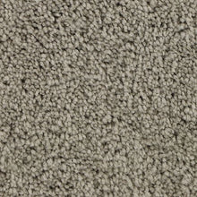 Load image into Gallery viewer, Authentic Comfort|Classic Silver|3C30-919 - Sample