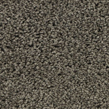 Load image into Gallery viewer, Authentic Comfort|Greige Tint|3C30-938 - Sample