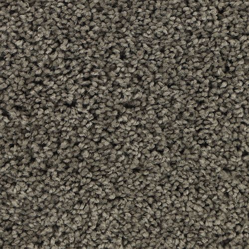 Authentic Comfort|Greige Tint|3C30-938 - Sample