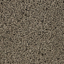 Load image into Gallery viewer, Authentic Comfort|Moon Rock|3C30-947 - Sample