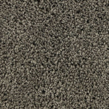 Load image into Gallery viewer, Authentic Comfort|Legendary|3C30-964 - Sample