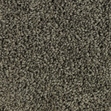 Load image into Gallery viewer, Authentic Comfort|Urban Putty|3C30-967 - Sample