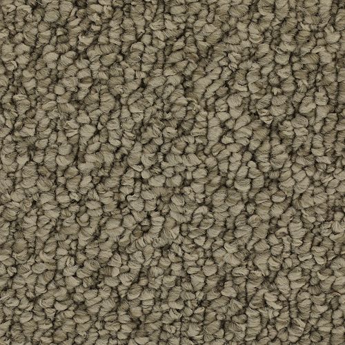 Beautiful Classic|Taupe Whisper|3C48-829 - Sample