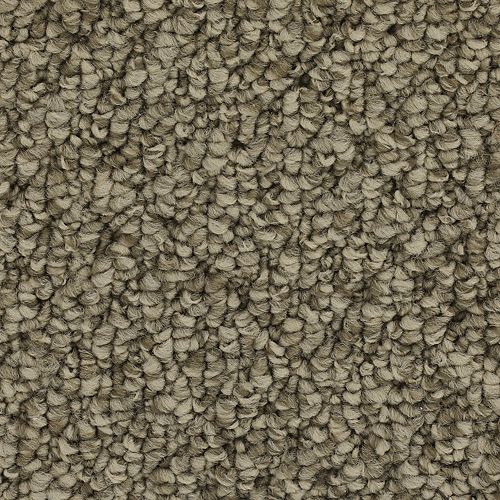 Ageless Classic|Mushroom|3C47-858 - Sample