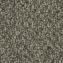 Load image into Gallery viewer, Beautiful Classic|Ice Grey|3C48-965 - Sample