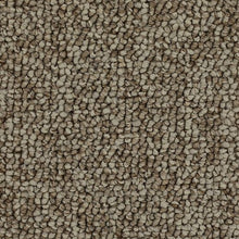 Load image into Gallery viewer, Balanced Comfort|Ancient Treasure|BP85B-853 - Sample