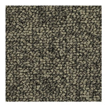 Load image into Gallery viewer, Inviting Comfort|Classic Silver|3D35-977 - Sample