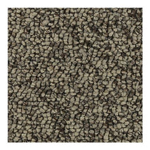 Load image into Gallery viewer, True Distinction|Quiet Beige|3D81-721 - Sample