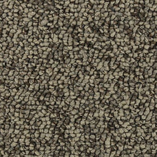 Load image into Gallery viewer, Amazing Character|Quiet Beige|3D79-721 - Sample