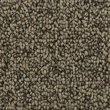 Load image into Gallery viewer, Amazing Character|Warm Neutral|3D79-722 - Sample