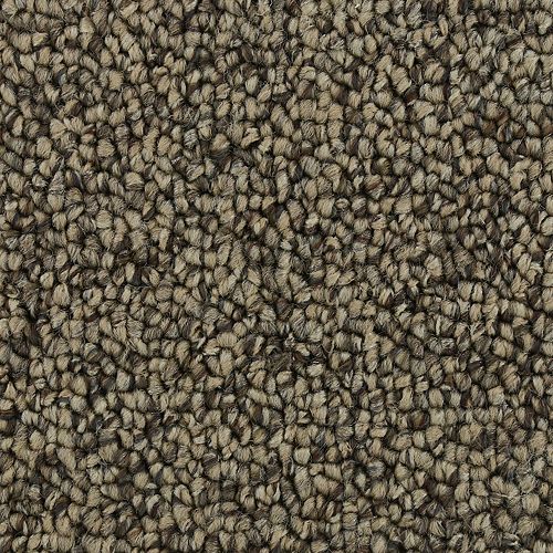 Amazing Character|Warm Neutral|3D79-722 - Sample