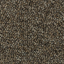 Load image into Gallery viewer, Amazing Character|Copper Tones|3D79-832 - Sample