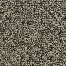 Load image into Gallery viewer, Amazing Essence|Quiet Beige|3D83-721 - Sample