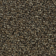 Load image into Gallery viewer, Amazing Essence|Copper Tones|3D83-832 - Sample