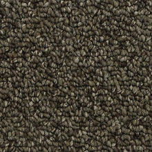 Load image into Gallery viewer, Amazing Essence|Perfect Taupe|3D83-879 - Sample