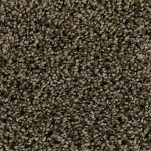 Load image into Gallery viewer, Enduring Approach|Brushwood|3D53-824 - Sample