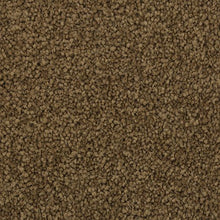 Load image into Gallery viewer, Coastal Luxury I|Havana|3F28-876 - Sample