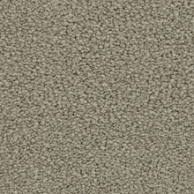 Load image into Gallery viewer, Treasured Selection|Cumulus|BP31C-919 - Sample