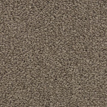 Load image into Gallery viewer, Treasured Selection|Porpoise|BP31C-942 - Sample