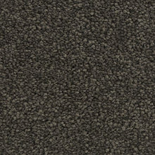 Load image into Gallery viewer, Treasured Selection|Mystery|BP31C-994 - Sample