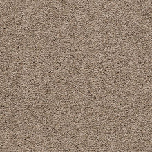 Load image into Gallery viewer, Coastal Appeal II|Oyster Bar|3D41-784 - Sample