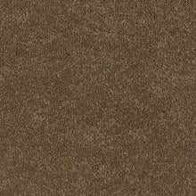 Load image into Gallery viewer, Coastal Vision III|Tradition|3D45-783 - Sample