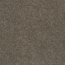 Load image into Gallery viewer, Coastal Vision III|Dolphin|3D45-964 - Sample