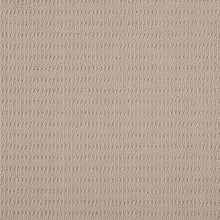 Load image into Gallery viewer, Authentic Elegance|Soft Glow|43701-9745 - Sample