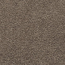 Load image into Gallery viewer, Bold Choice|Radiance|3F91-789 - Sample