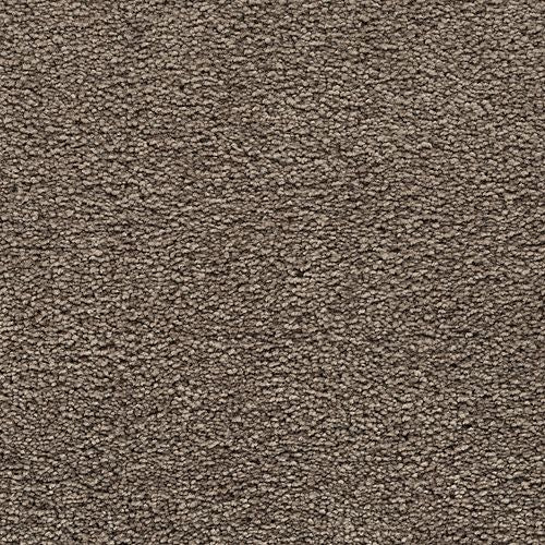 Bold Choice|Radiance|3F91-789 - Sample