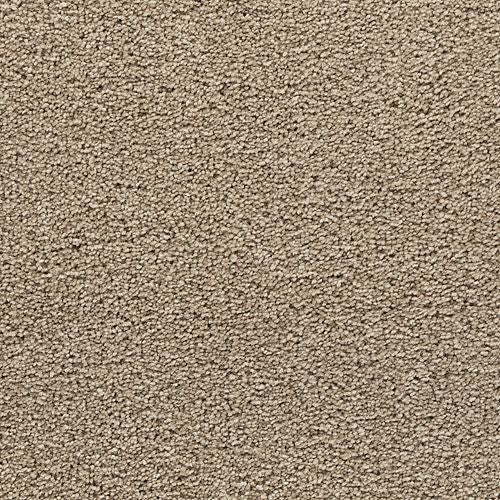 Bold Choice|Cape Cod|3F91-815 - Sample