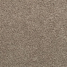 Load image into Gallery viewer, Bold Choice|Backcountry|3F91-820 - Sample