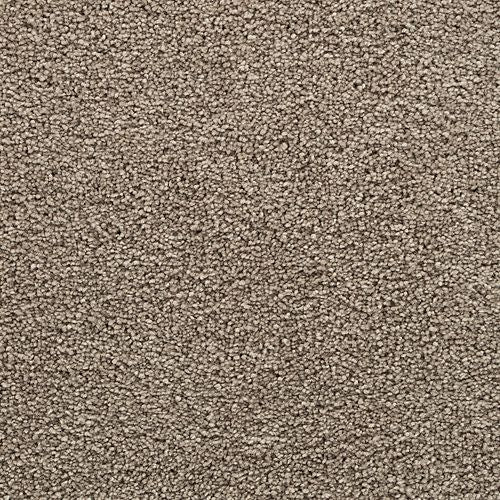 Bold Choice|Backcountry|3F91-820 - Sample